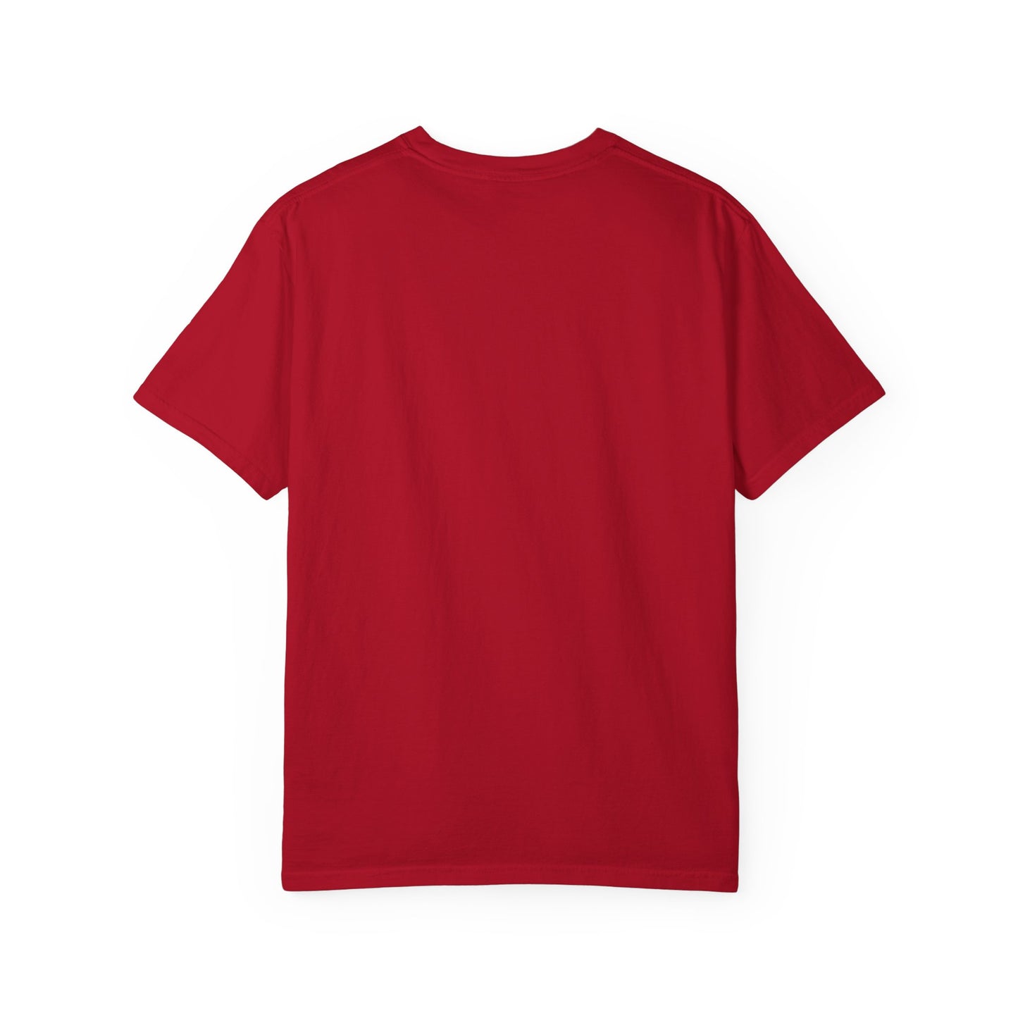 Garment-Dyed Ruse Clues T-Shirt - Unisex Graphic Shirt, Casual Wear, Gift for Friends, Street Fashion, Beach Day